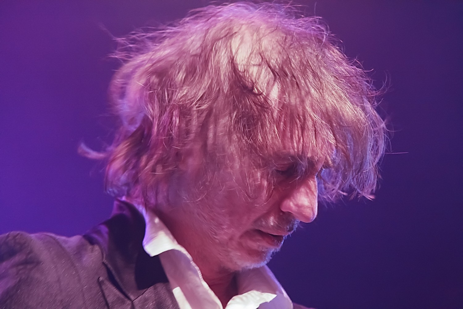 Image de l'artiste