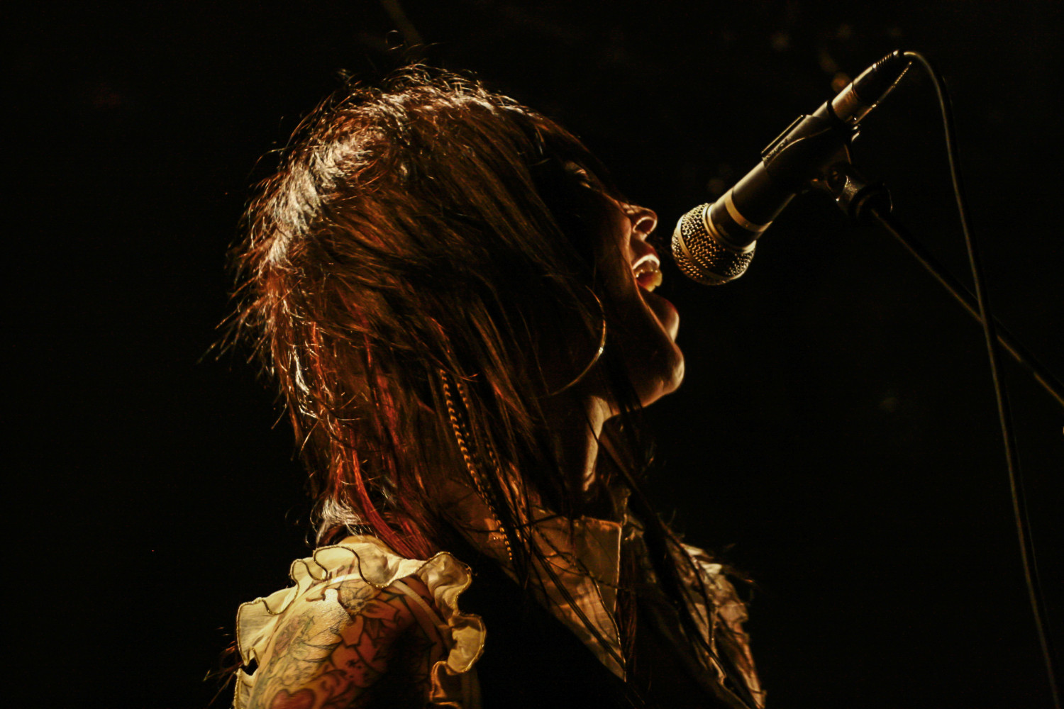 Image de l'artiste