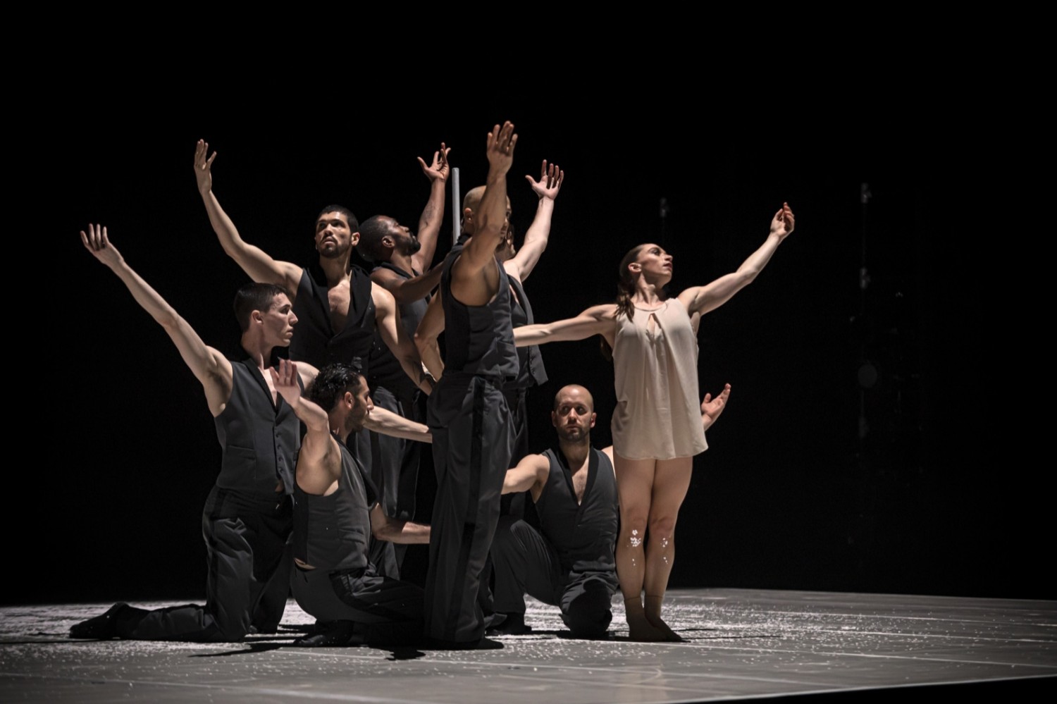 Dance Me au Colisée de Roubaix