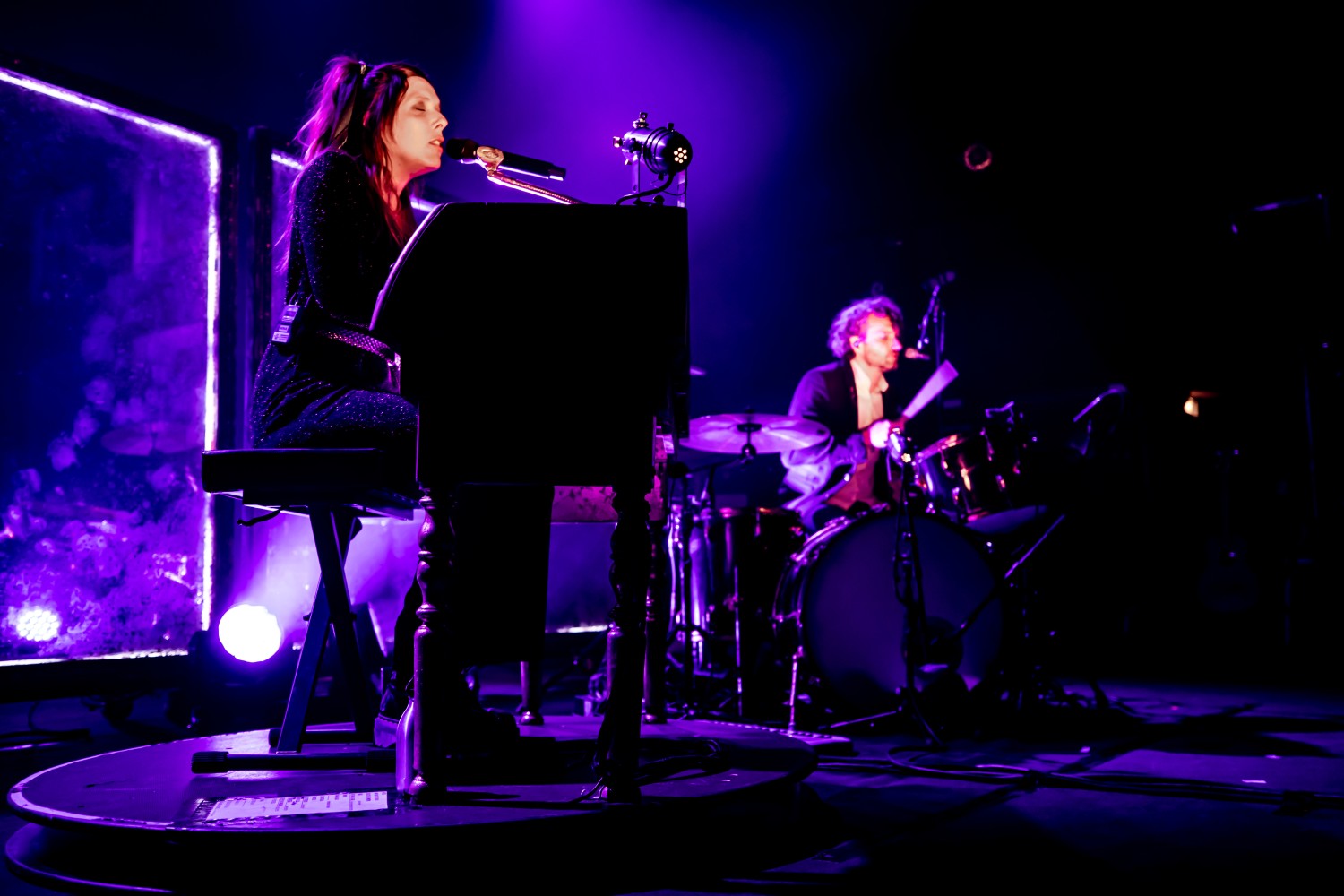 Cats on trees au Splendid