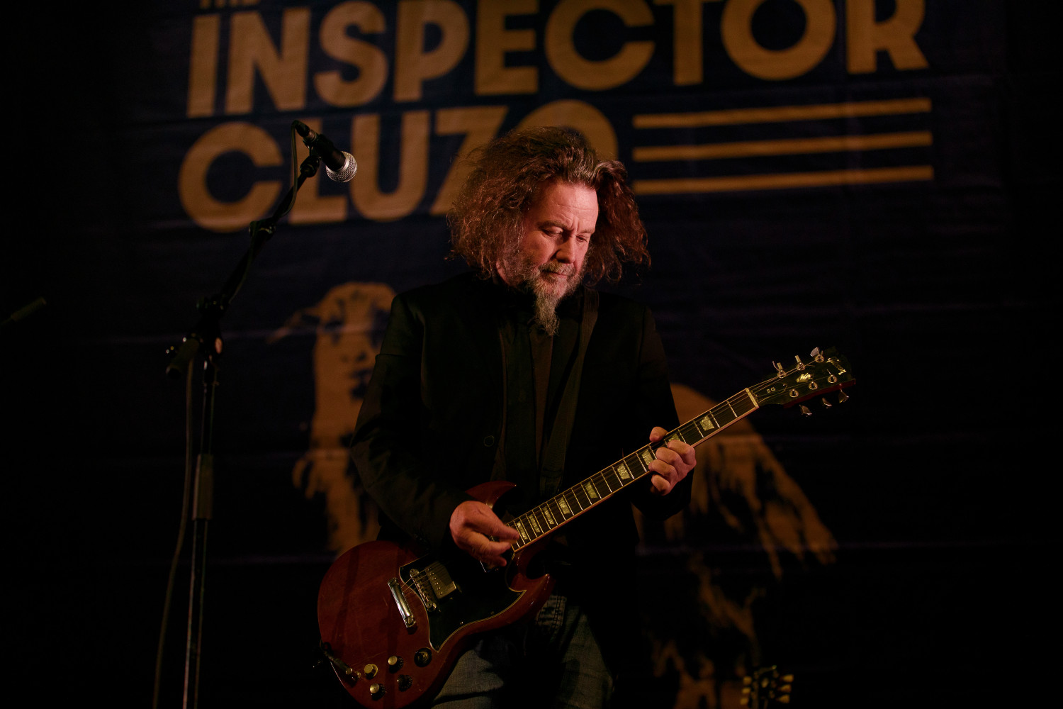 The Inspector Cluzo