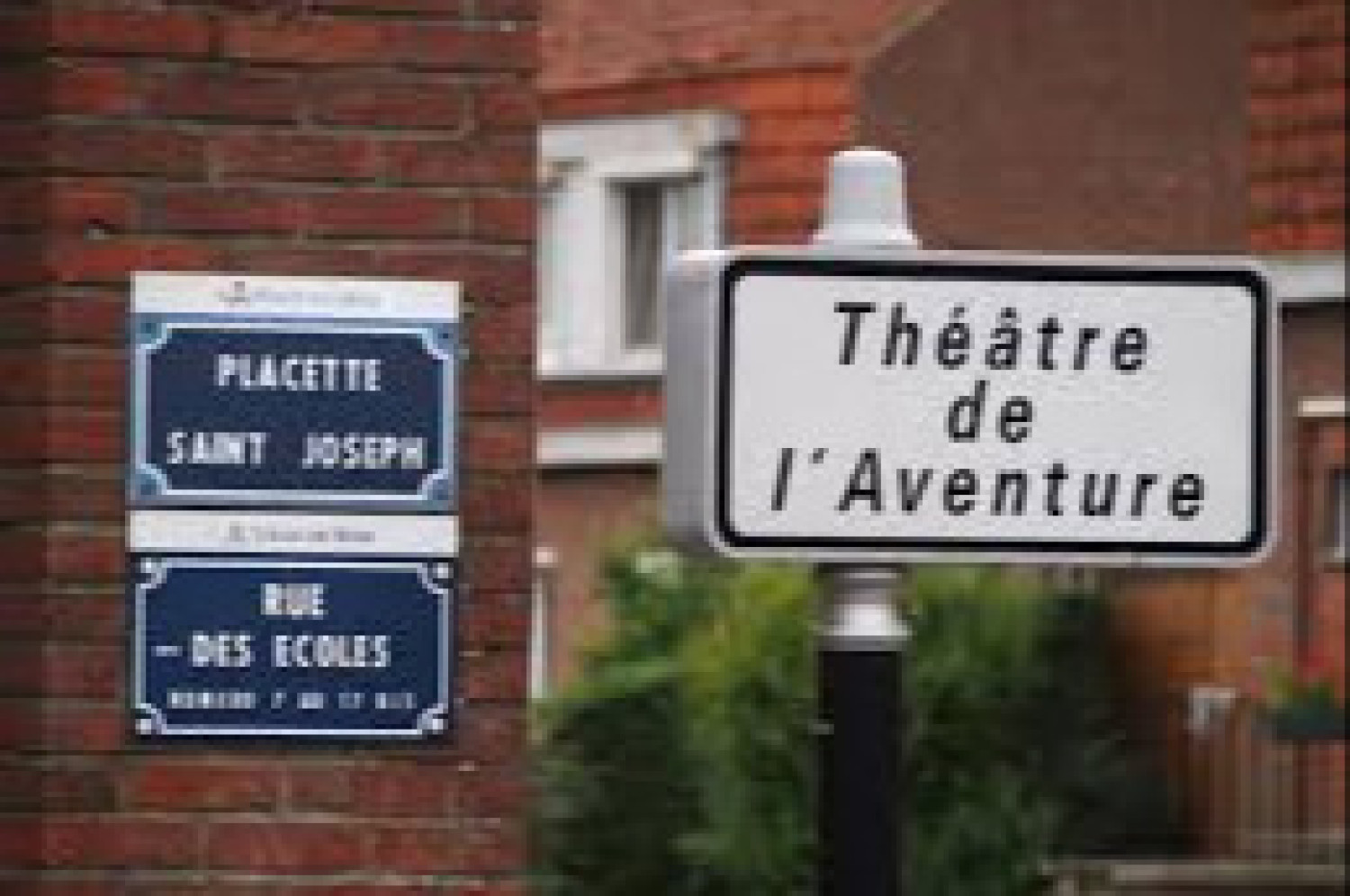 Image de l'artiste