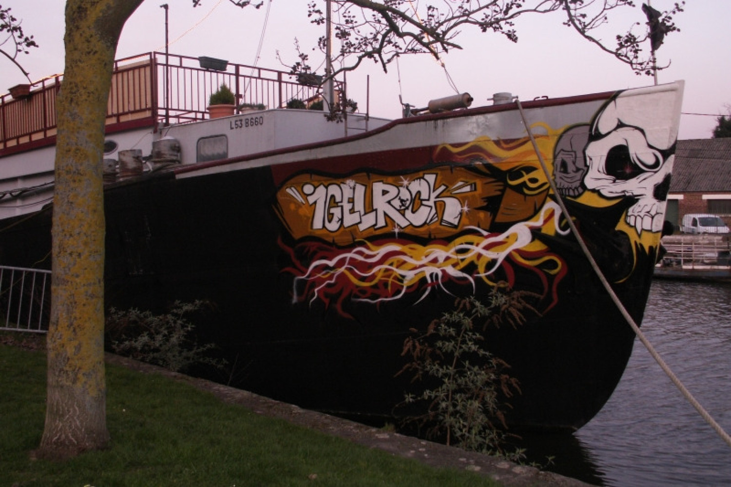 Image de l'artiste