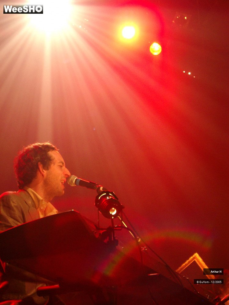 1/21 photos du spectacle Arthur H