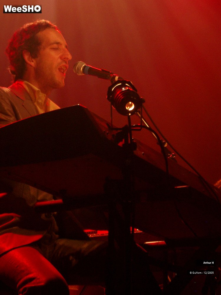 2/21 photos du spectacle Arthur H