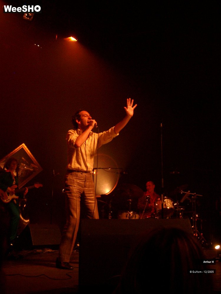 3/21 photos du spectacle Arthur H