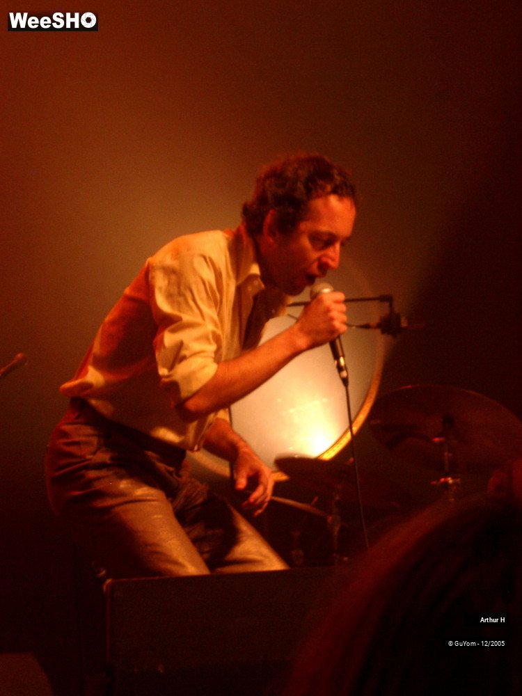 4/21 photos du spectacle Arthur H