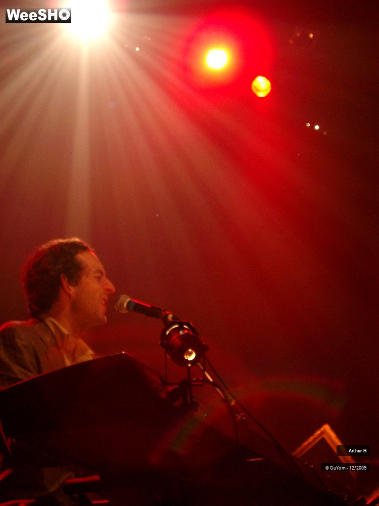 6/21 photos du spectacle Arthur H