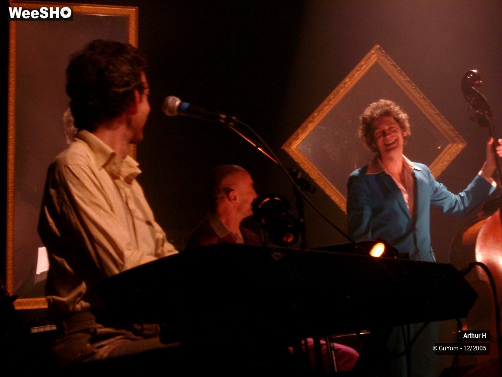 11/21 photos du spectacle Arthur H