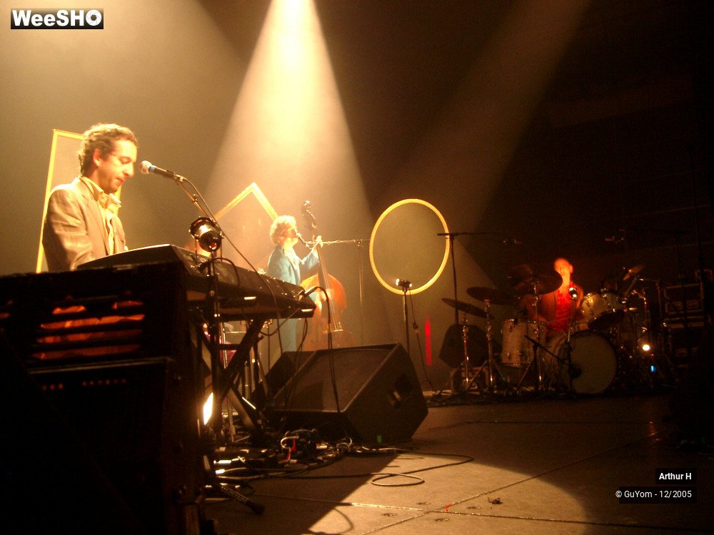 13/21 photos du spectacle Arthur H