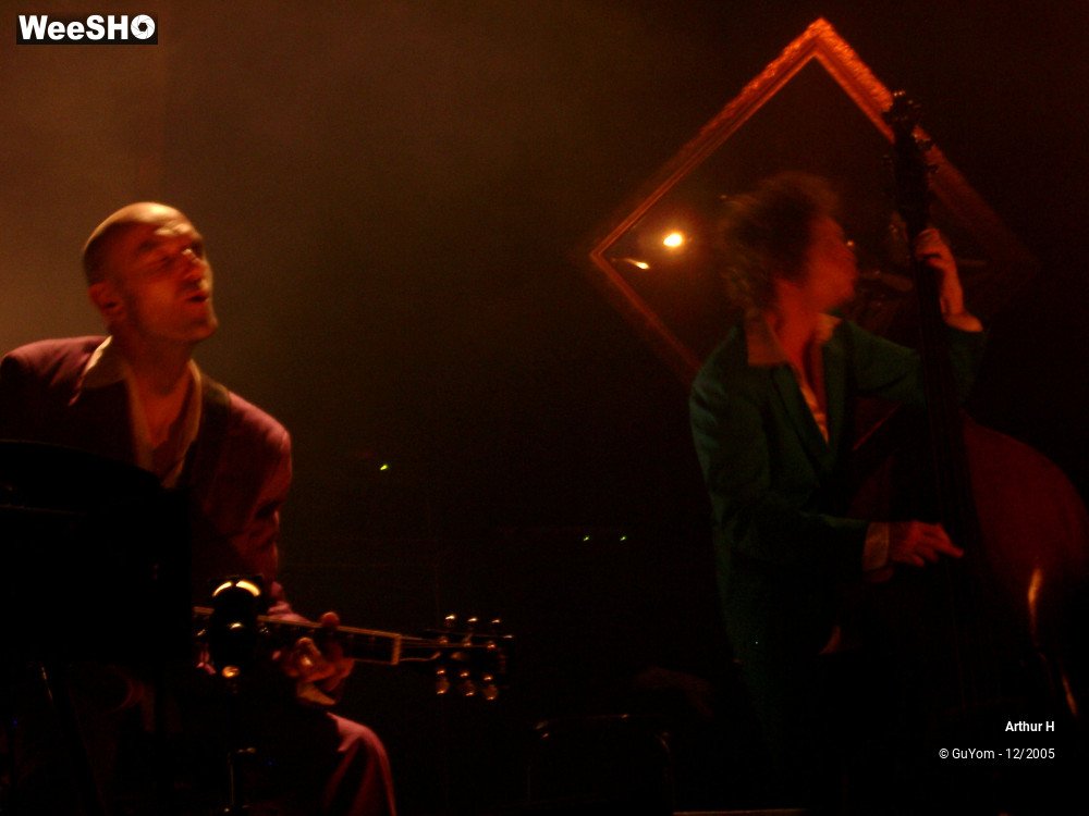 14/21 photos du spectacle Arthur H