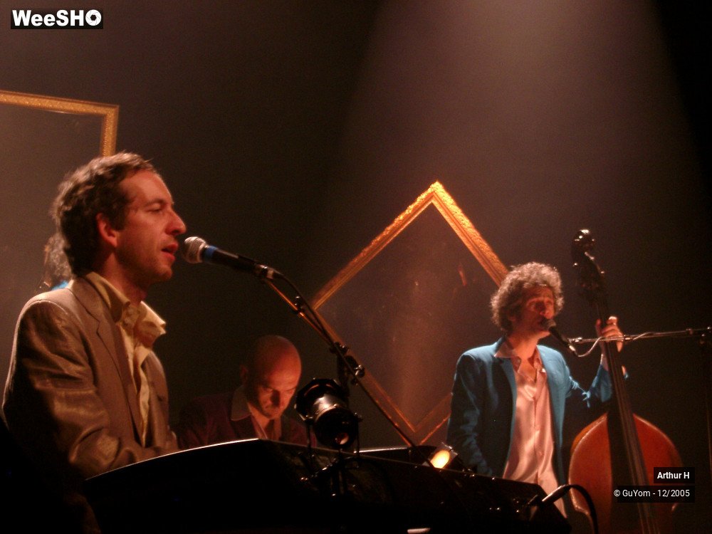 17/21 photos du spectacle Arthur H