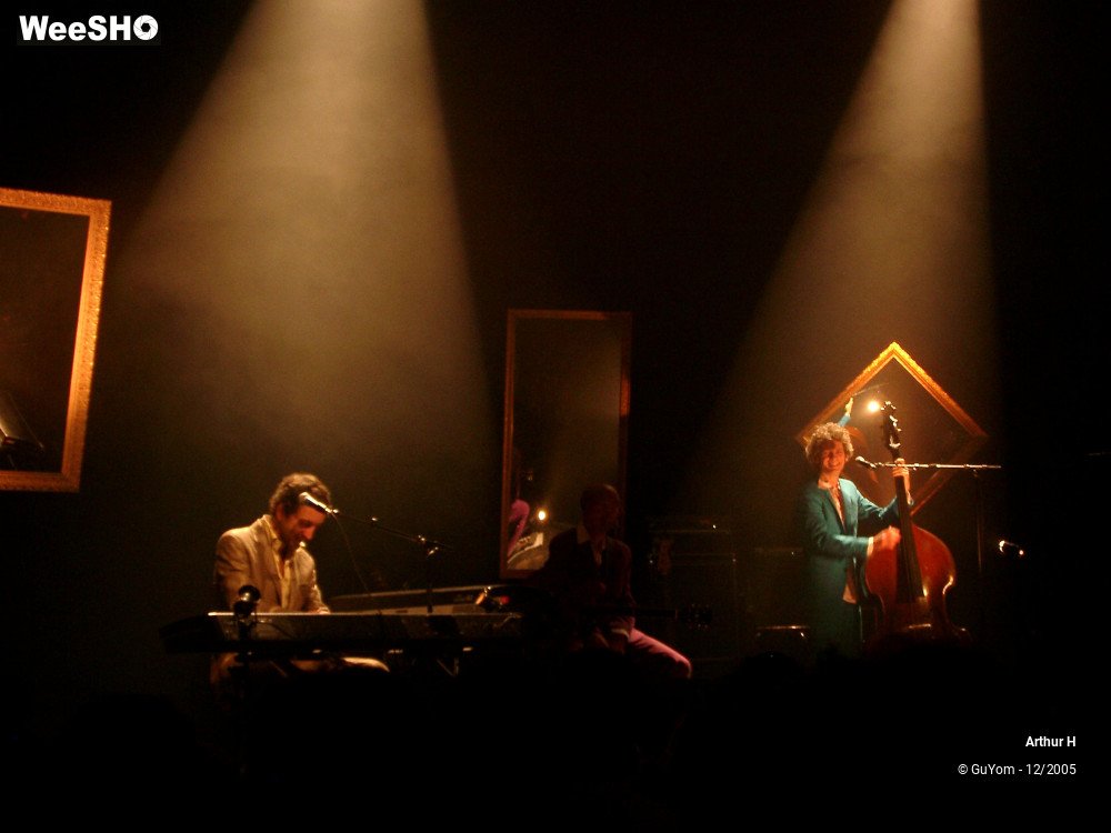 18/21 photos du spectacle Arthur H