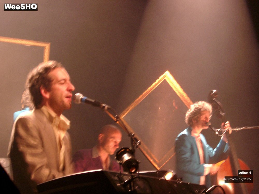19/21 photos du spectacle Arthur H