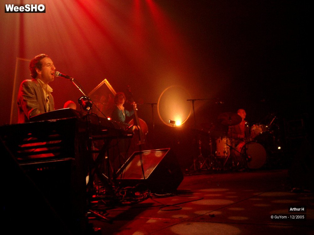 20/21 photos du spectacle Arthur H