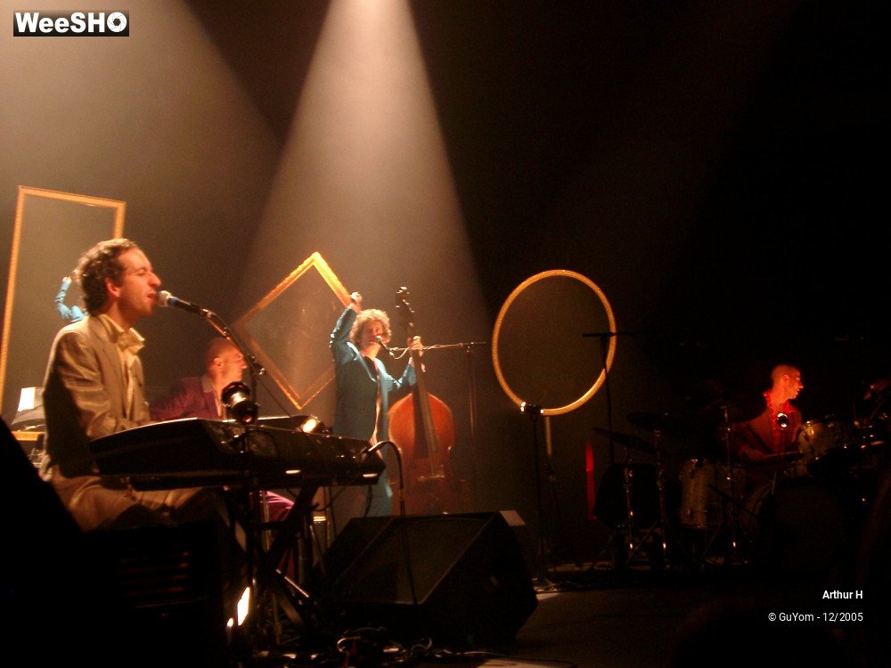 21/21 photos du spectacle Arthur H