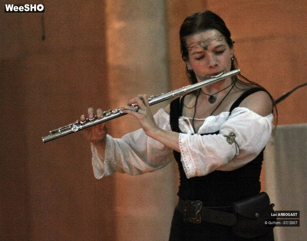 41/45 photos du spectacle Luc ARBOGAST