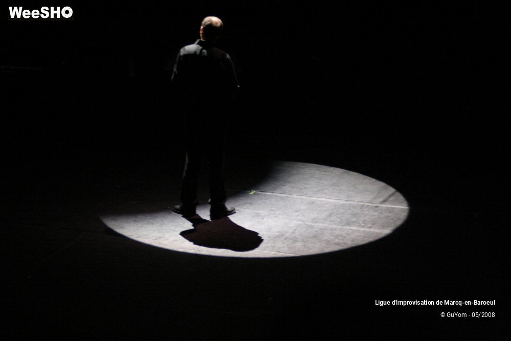 32/41 photos du spectacle La nuit de la ligue d`Impro
