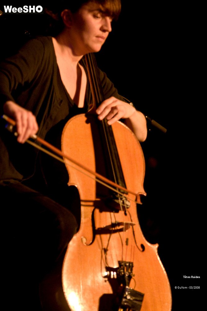 2/30 photos du spectacle Les Têtes Raides