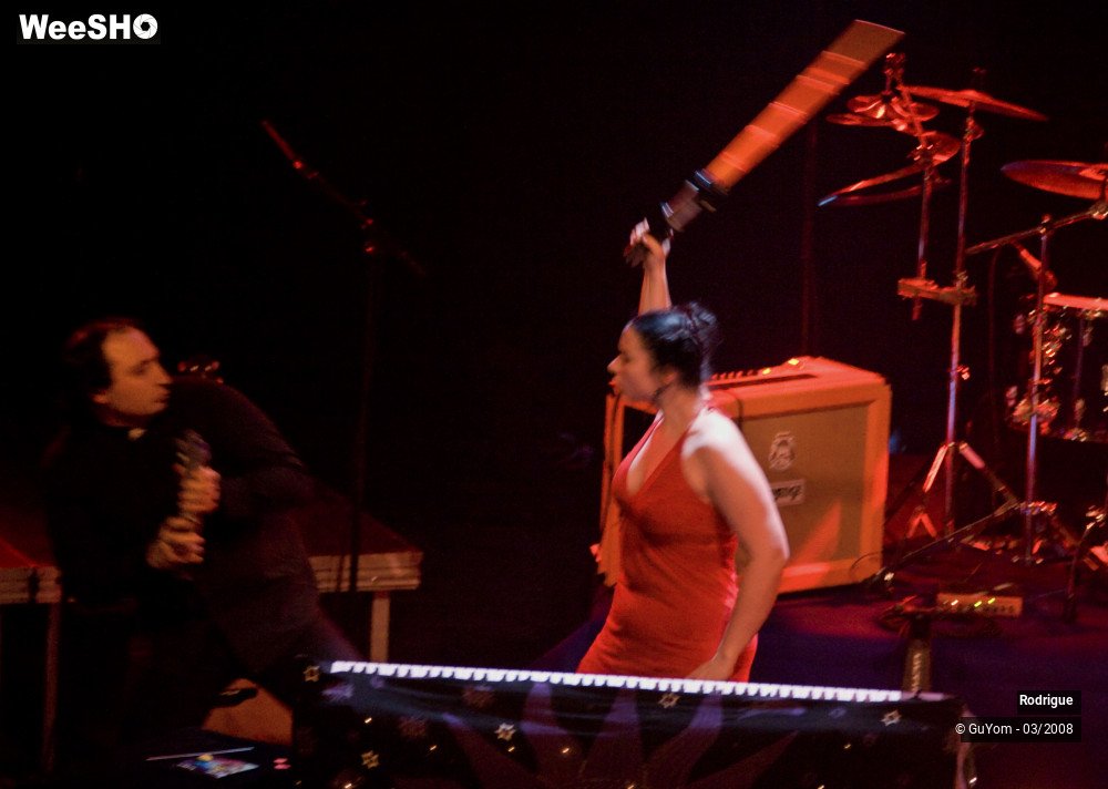 23/31 photos du spectacle Rodrigue