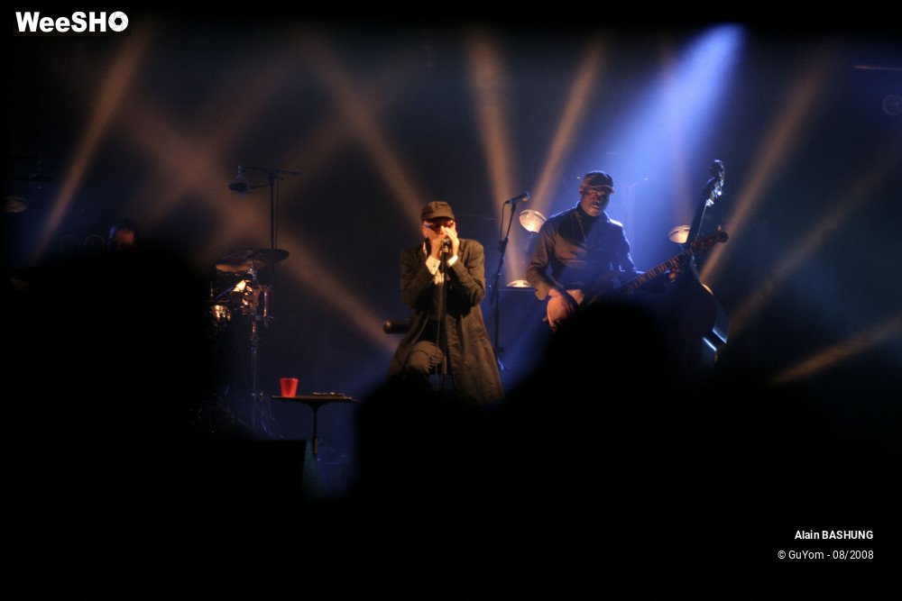 2/22 photos du spectacle Alain BASHUNG