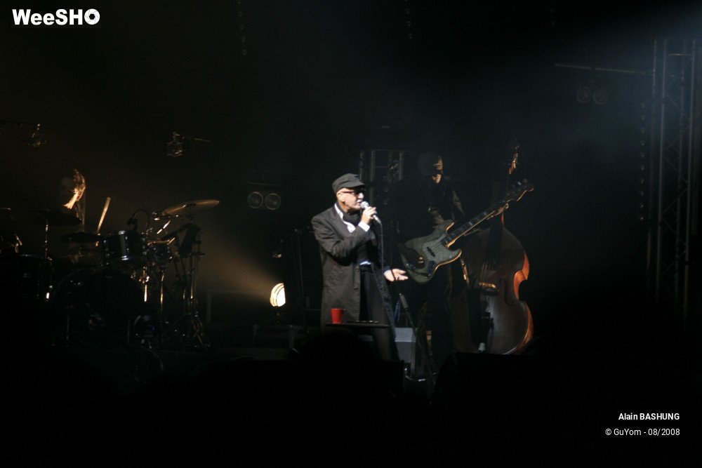 3/22 photos du spectacle Alain BASHUNG