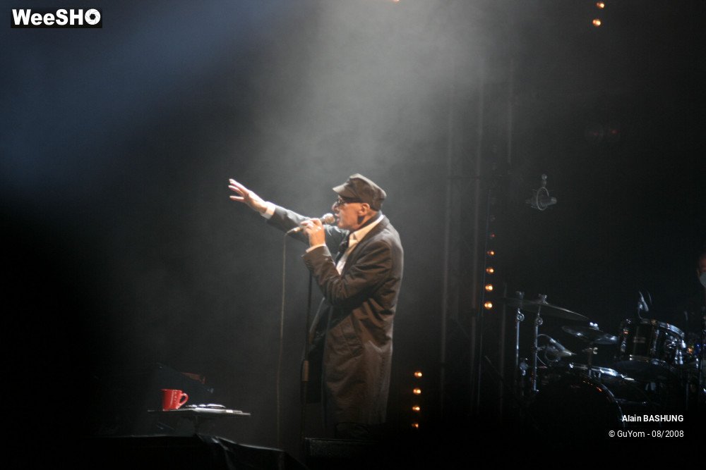 8/22 photos du spectacle Alain BASHUNG