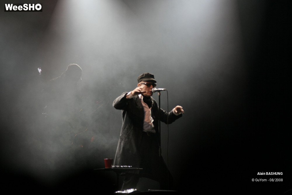 12/22 photos du spectacle Alain BASHUNG