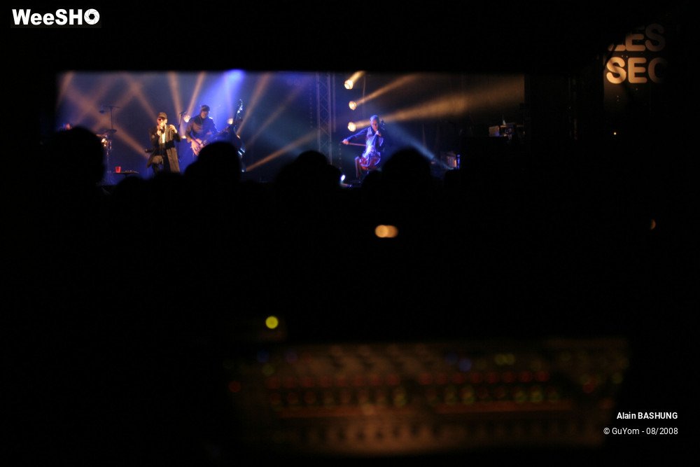 13/22 photos du spectacle Alain BASHUNG