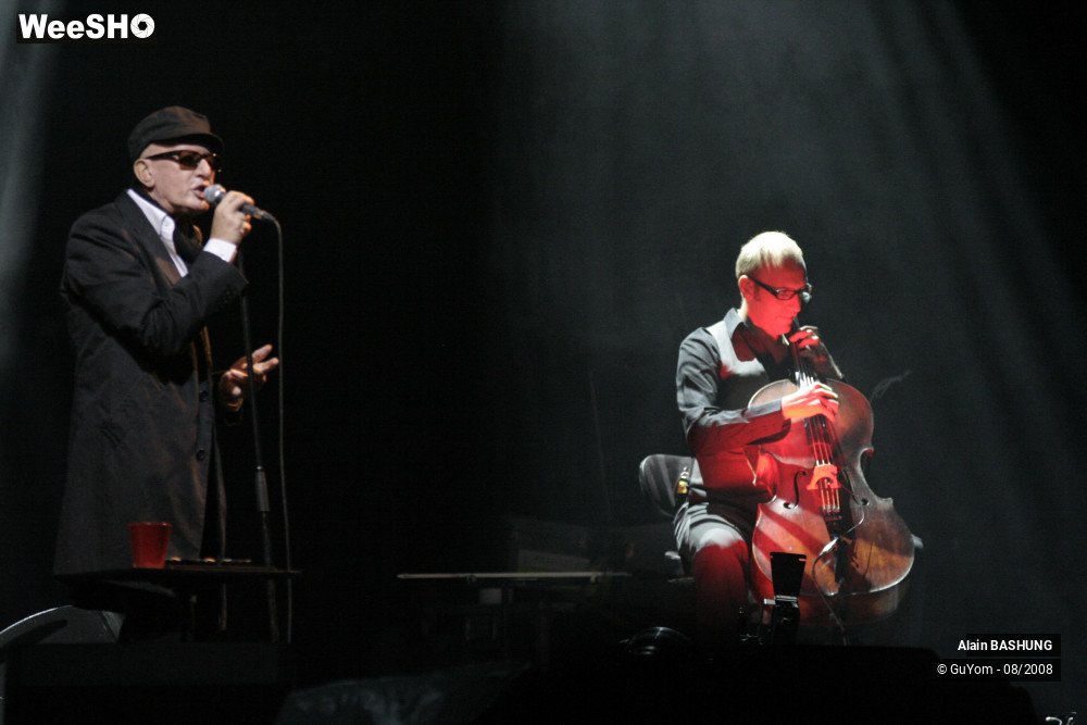 15/22 photos du spectacle Alain BASHUNG