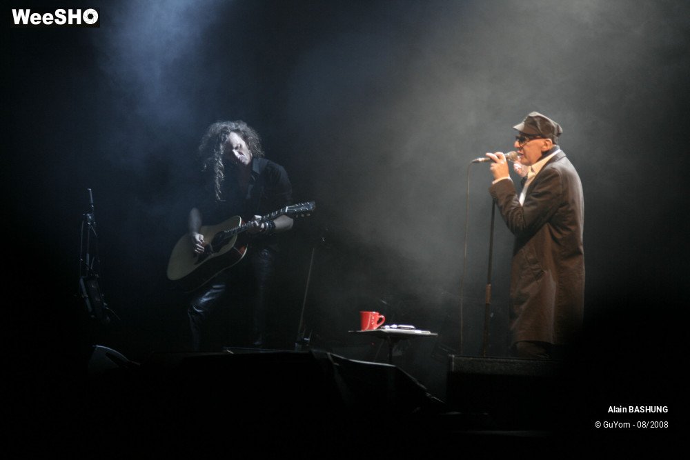 18/22 photos du spectacle Alain BASHUNG