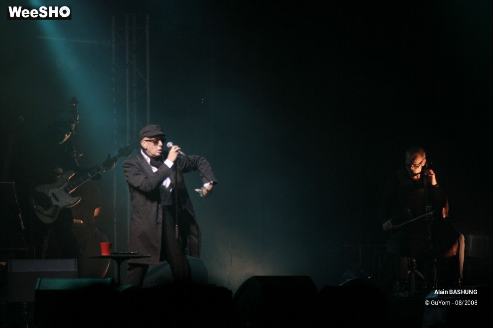 22/22 photos du spectacle Alain BASHUNG