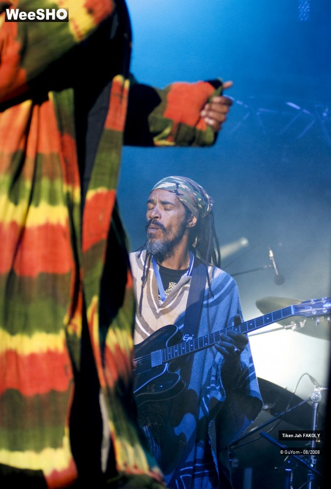8/50 photos du spectacle Tiken Jah FAKOLY