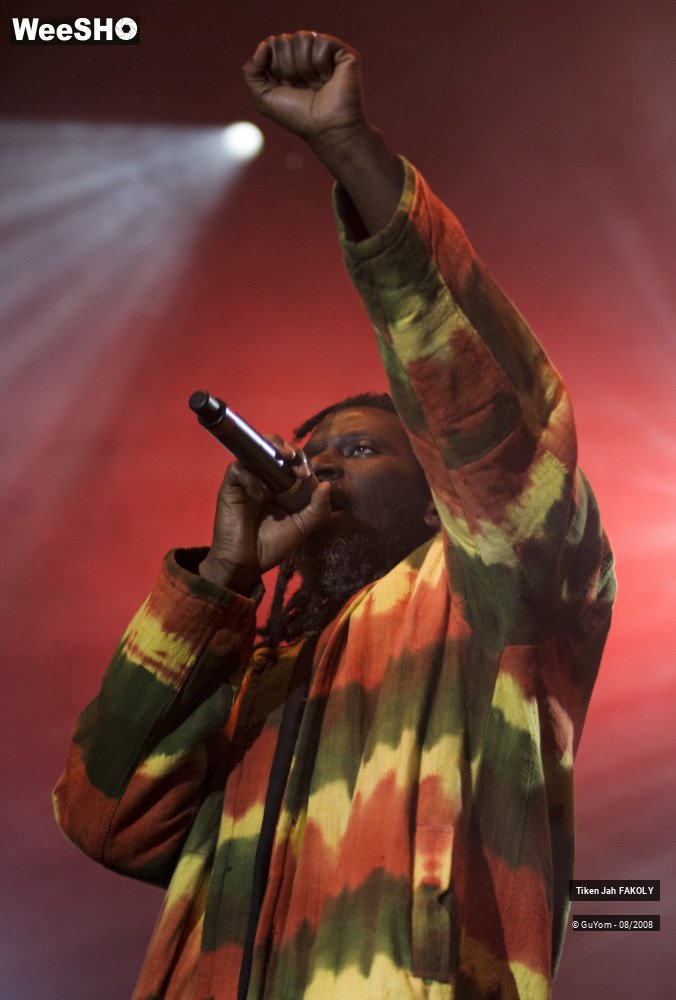 15/50 photos du spectacle Tiken Jah FAKOLY