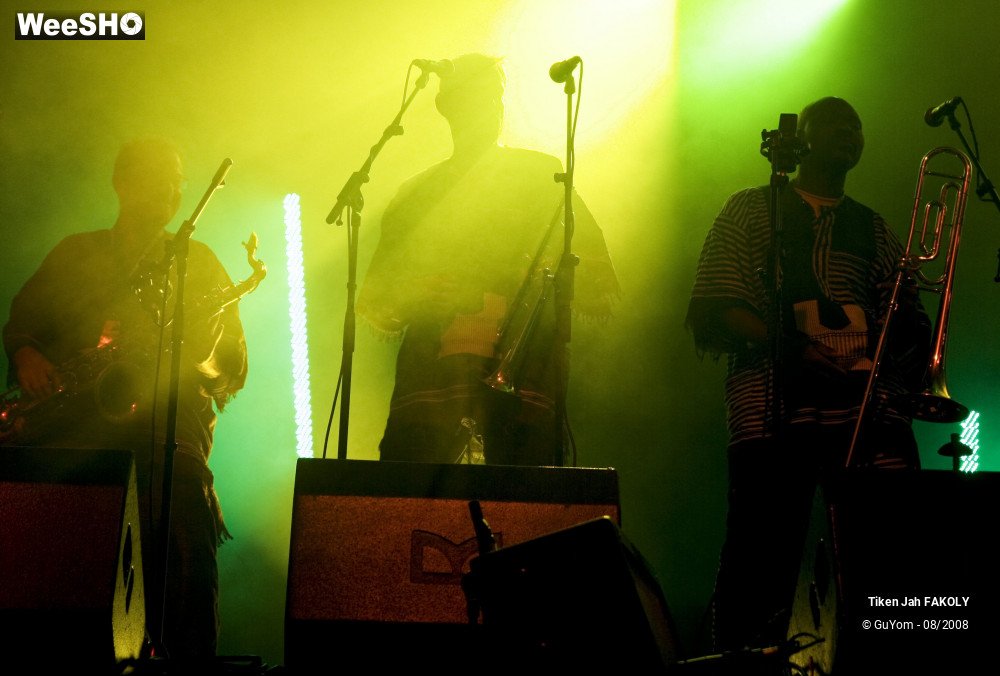 22/50 photos du spectacle Tiken Jah FAKOLY