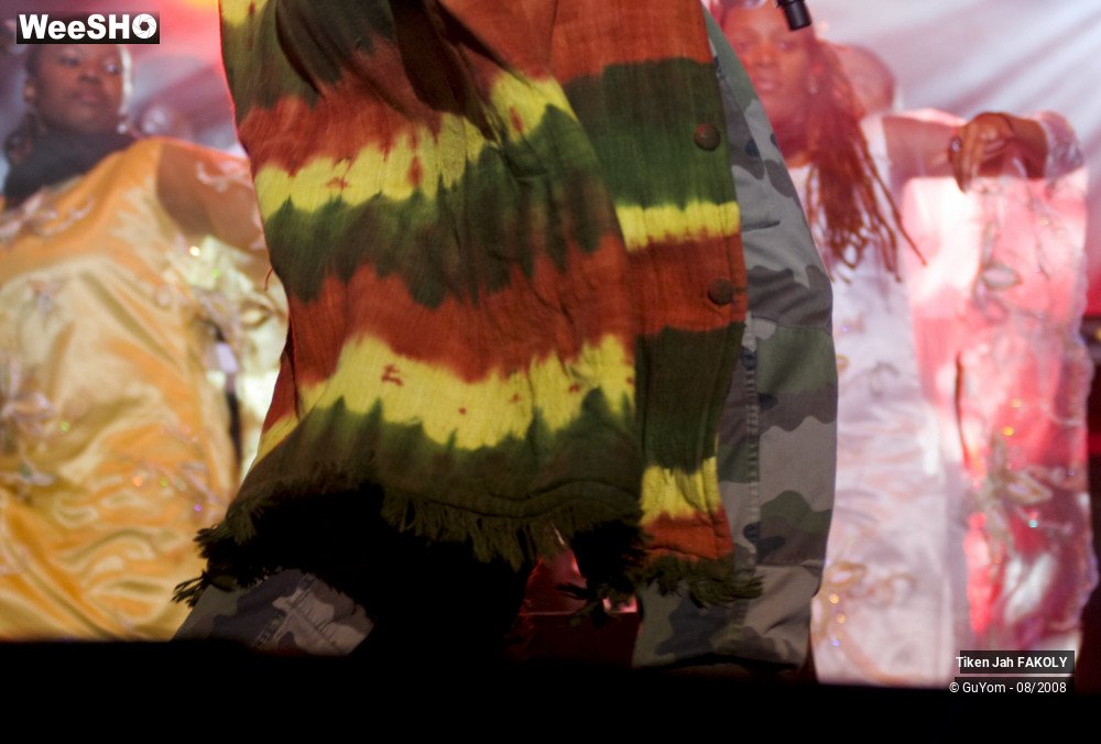 30/50 photos du spectacle Tiken Jah FAKOLY