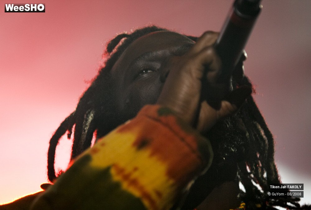 48/50 photos du spectacle Tiken Jah FAKOLY