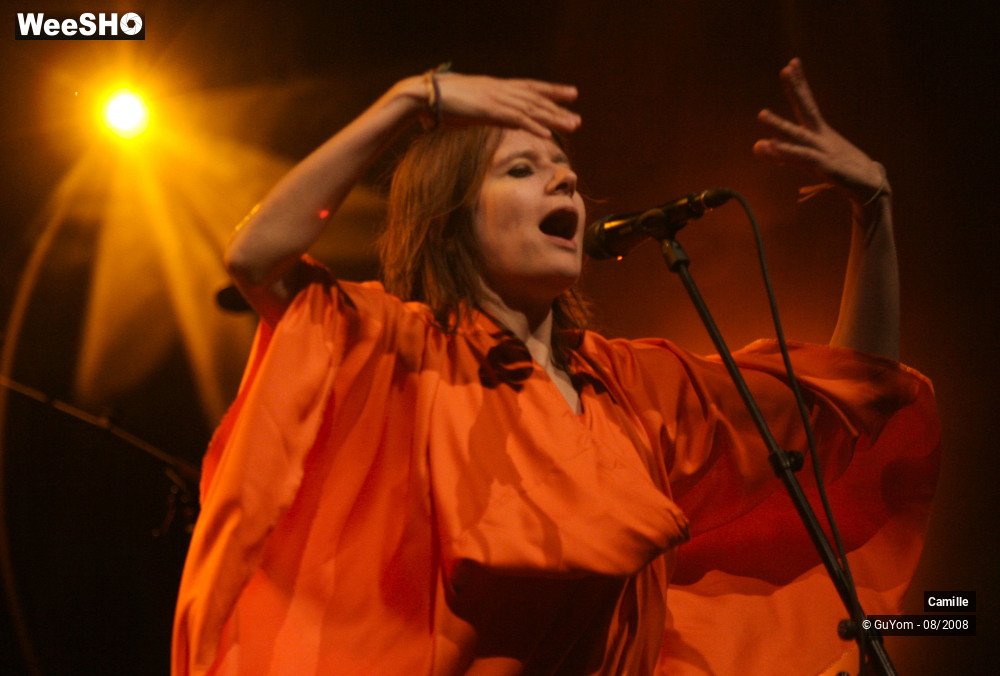 12/37 photos du spectacle Camille
