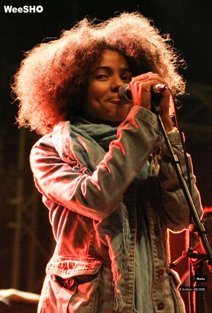 1/33 photos du spectacle Nneka