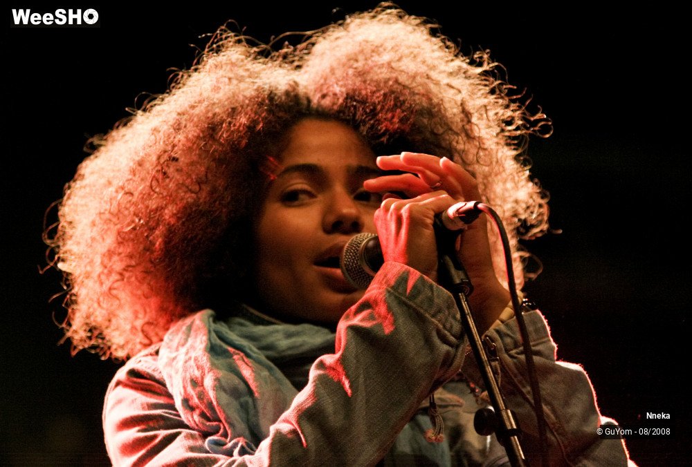 15/33 photos du spectacle Nneka