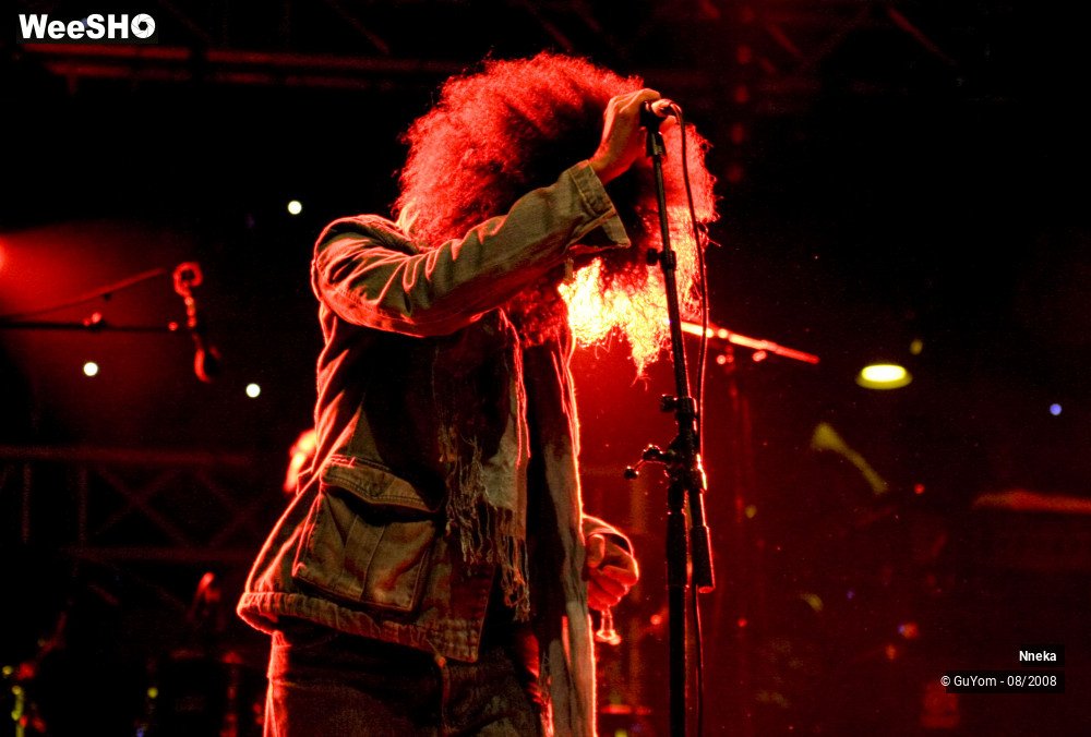 19/33 photos du spectacle Nneka