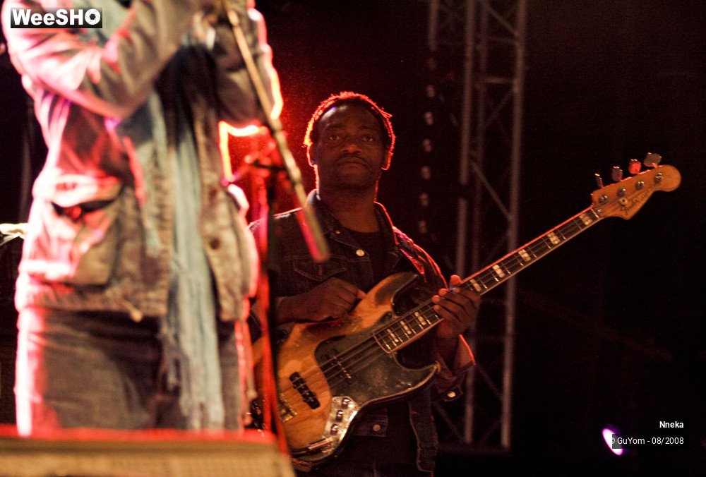 22/33 photos du spectacle Nneka