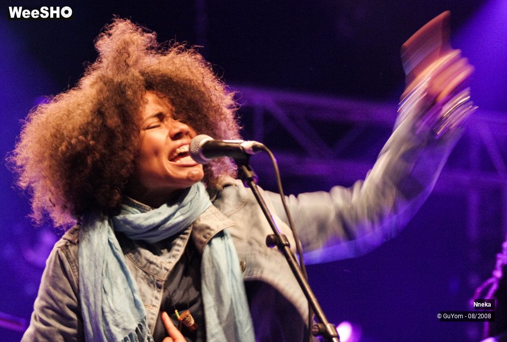 28/33 photos du spectacle Nneka