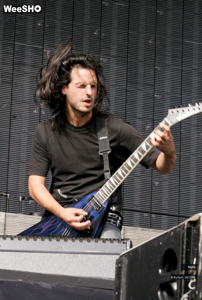 6/39 photos du spectacle Gojira