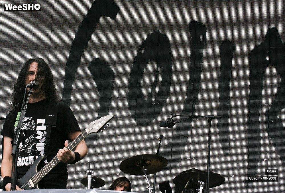 8/39 photos du spectacle Gojira