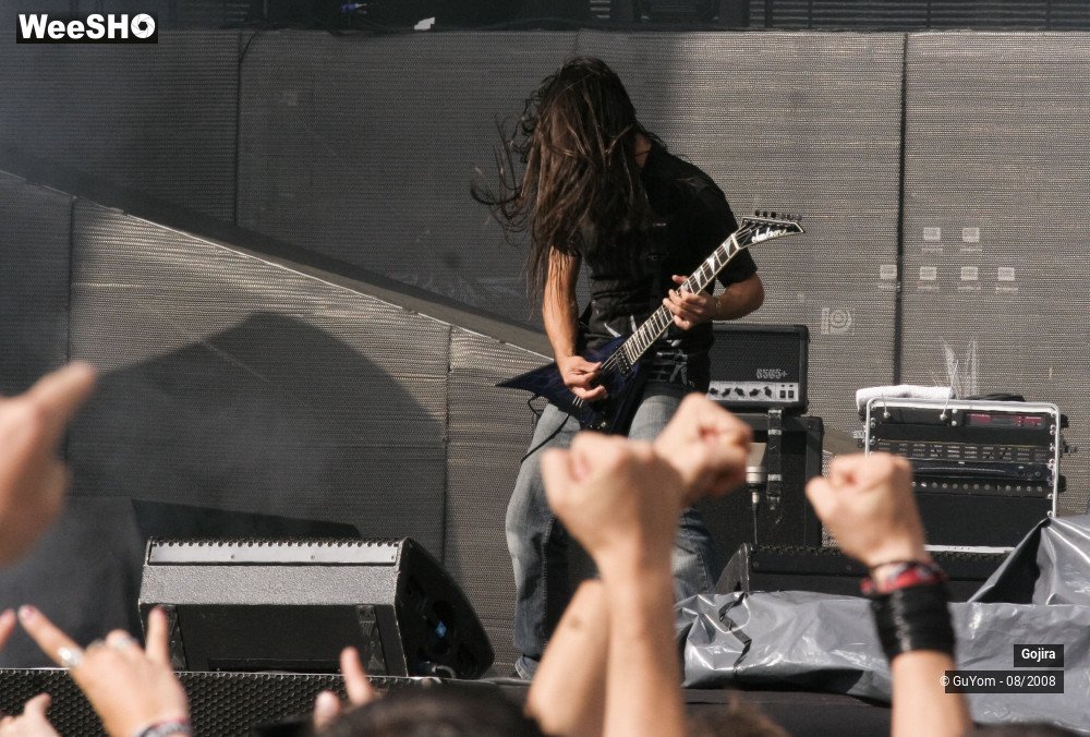 20/39 photos du spectacle Gojira