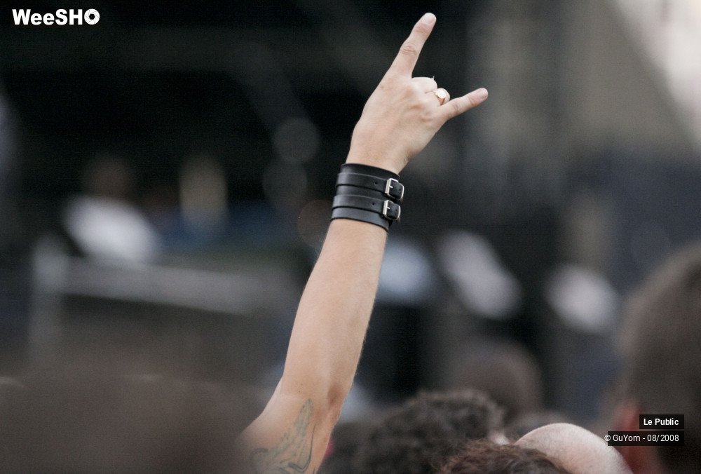 18/31 photos du spectacle Ambiance Rock en France