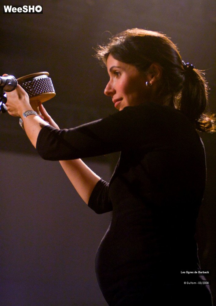 18/27 photos du spectacle Les Ogres de Barback