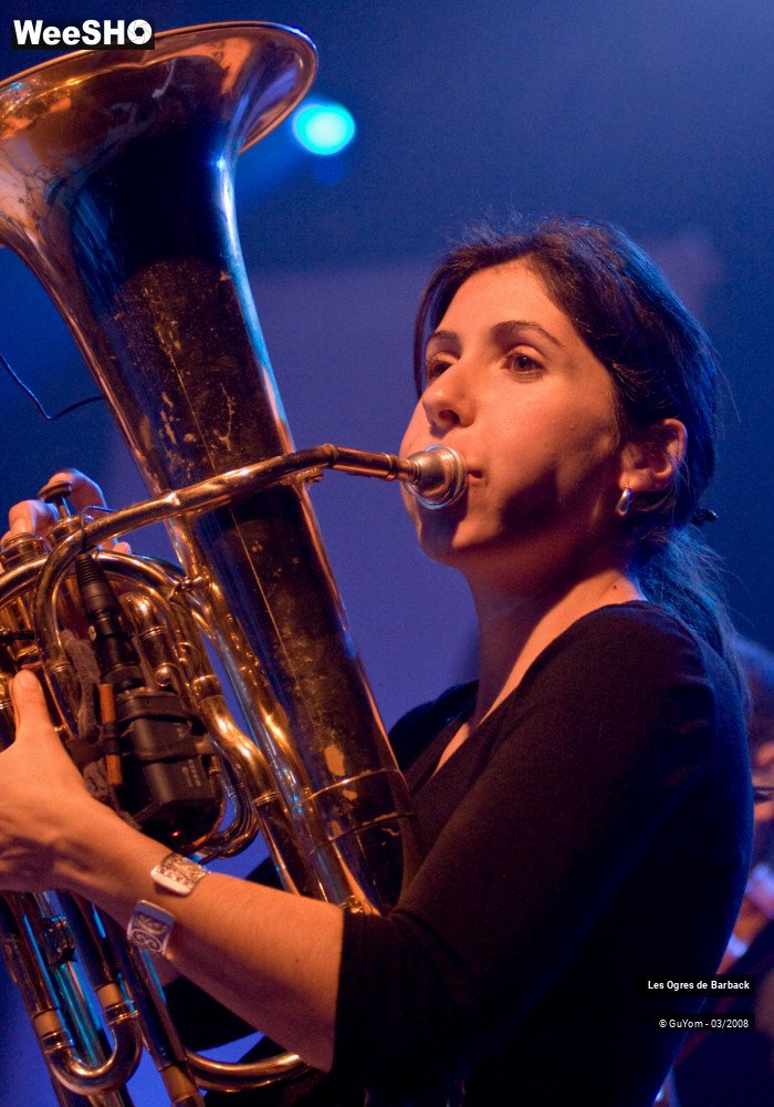 19/27 photos du spectacle Les Ogres de Barback