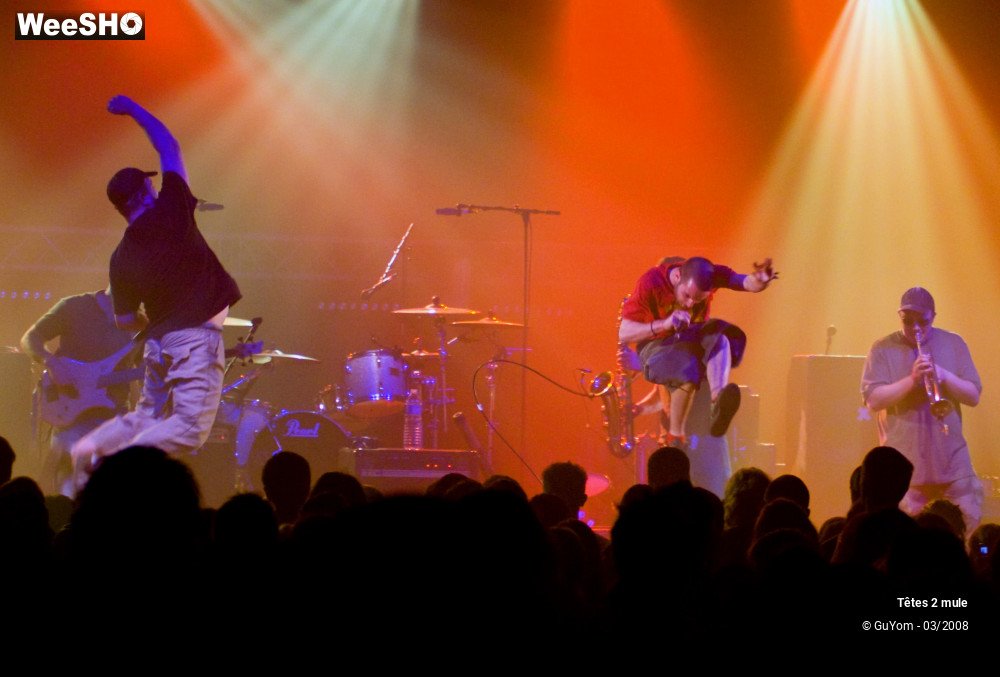 4/30 photos du spectacle Tetes2mule